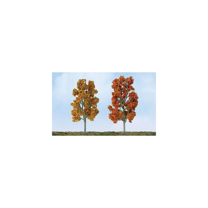 Herbst Sycomores Baum 87 bis 100 mm - Laddle Ho | Scientific-MHD