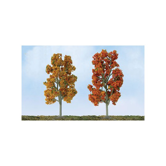 Herbst Sycomores Baum 87 bis 100 mm - Laddle Ho | Scientific-MHD