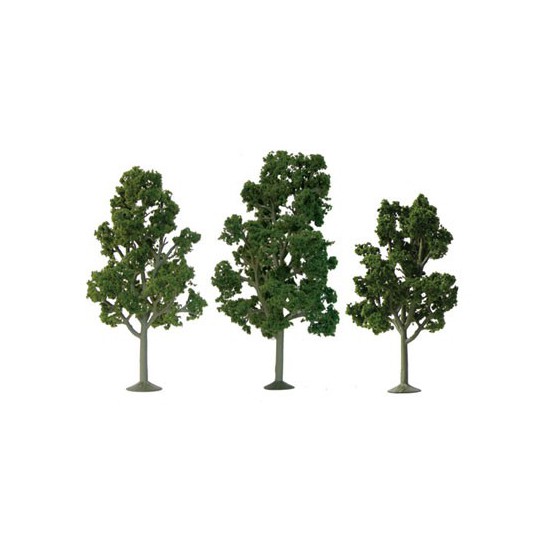 Sycomores Baum 125 bis 137 mm - Loch | Scientific-MHD