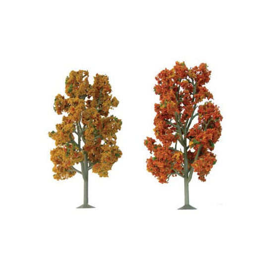 Fané Sycomores Baum 62 bis 87 mm - Leiter n | Scientific-MHD