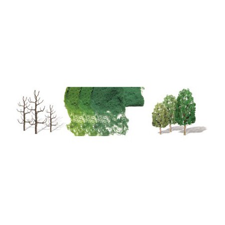 Sycomores Baum 67 bis 100 mm - Loch | Scientific-MHD