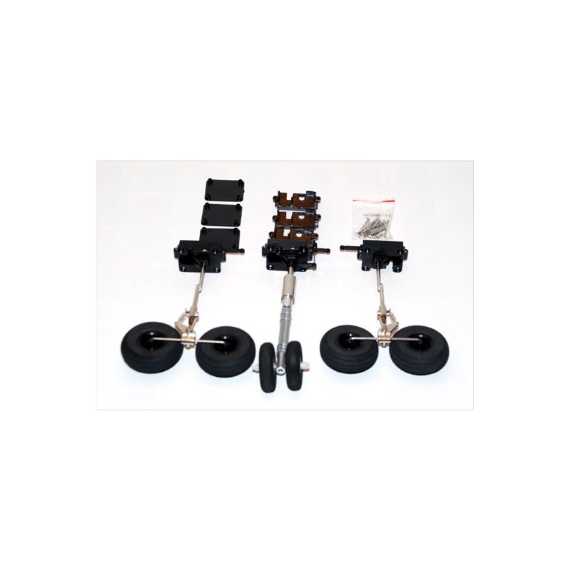 Radio -kontrollierter Elektromotor mit Doppelauto nach Hause | Scientific-MHD