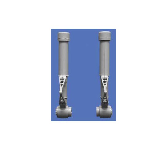 Eingebettetes Zubehör bi-legs 10cc | Scientific-MHD
