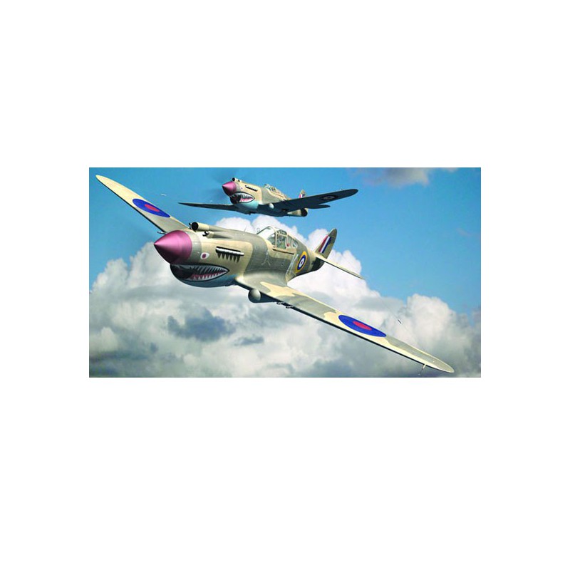 P-40B Warhawk Plastikflugzeugmodell | Scientific-MHD