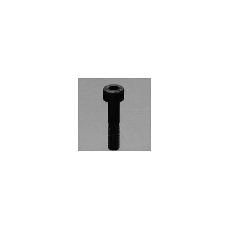 Schraubenschraube BTR M4 x 10 mm | Scientific-MHD