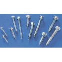 Visserie vis Parker Tete 6 Pfannendurchmesser. 2,9 x 25 mm | Scientific-MHD Visserie vis Parker Tete 6 Pfannendurchmesser. 2,9 x 25 mm | Scientific-MHD