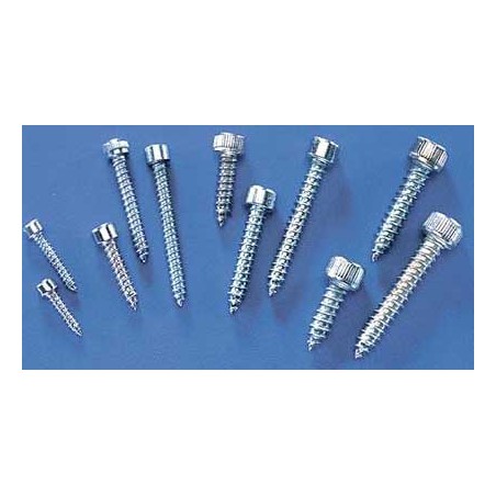 Visserie vis Parker Tete 6 Pfannendurchmesser. 2,9 x 25 mm | Scientific-MHD Visserie vis Parker Tete 6 Pfannendurchmesser. 2,9 x 25 mm | Scientific-MHD