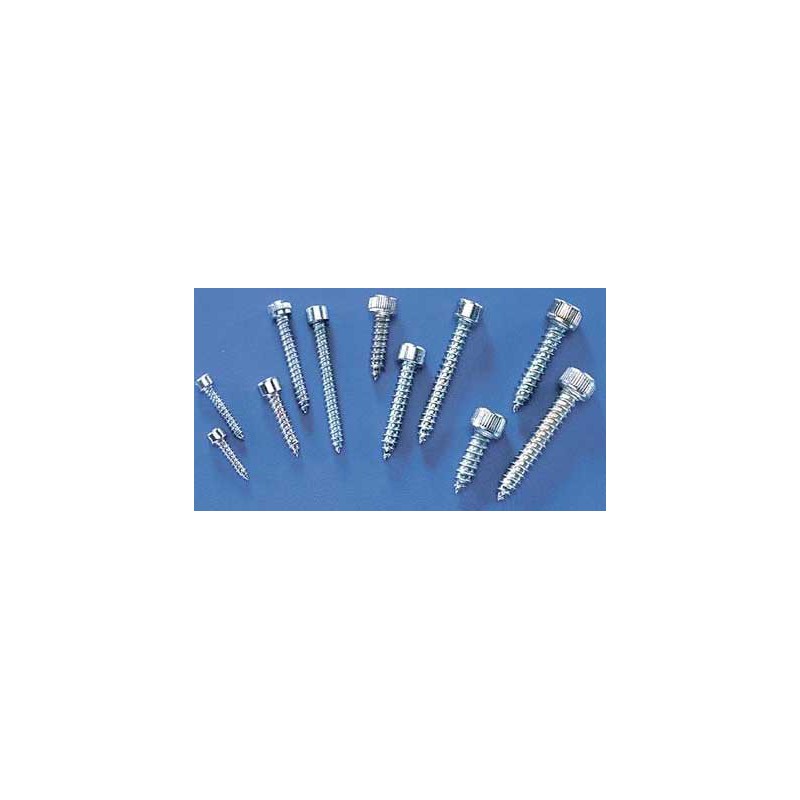 Visserie vis Parker Tete 6 Pfannendurchmesser. 4,2 x 25 mm | Scientific-MHD