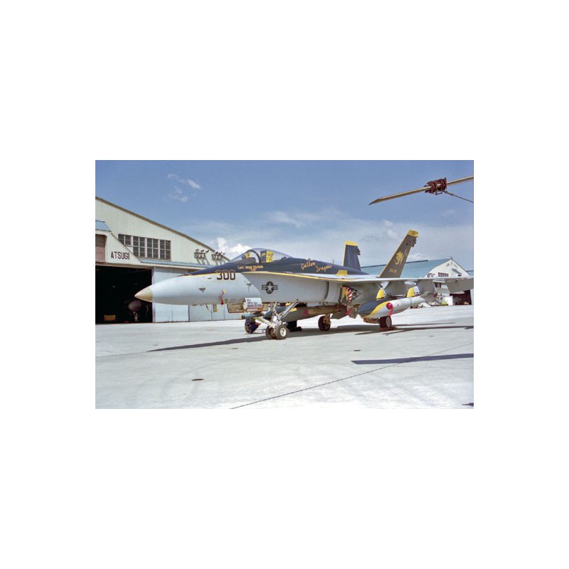 Kunststoffebene Modell F/A-18c Hornet | Scientific-MHD