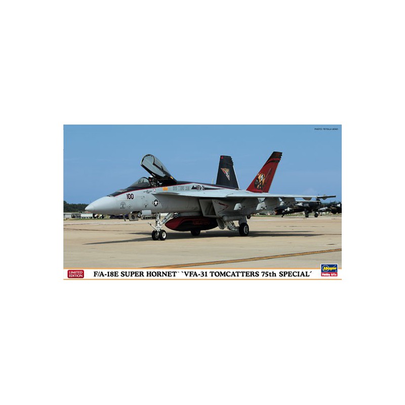 Kunststoffebene Modell 1/72F/A-18th VFA-31 Tomcatter | Scientific-MHD