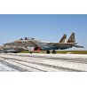 Kunststoffebene Modell 1/72F-15i Israeli AF | Scientific-MHD