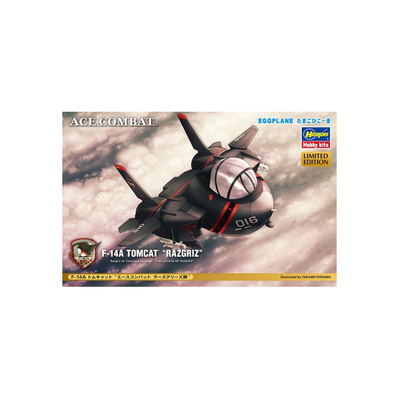 F-14A Plastikebene Modell Razgriz Eggebene | Scientific-MHD