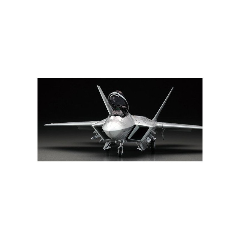 Kunststoffebene Modell F-22 Raptor 1/48 (PT45) | Scientific-MHD