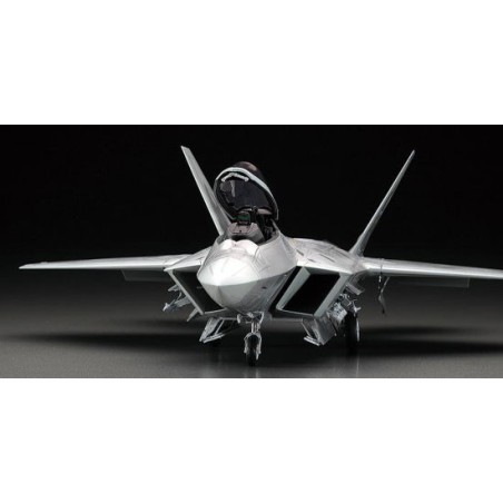Kunststoffebene Modell F-22 Raptor 1/48 (PT45) | Scientific-MHD Kunststoffebene Modell F-22 Raptor 1/48 (PT45) | Scientific-MHD