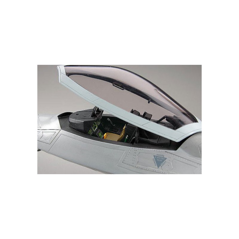 Kunststoffebene Modell F-22 Raptor 1/48 (PT45) | Scientific-MHD