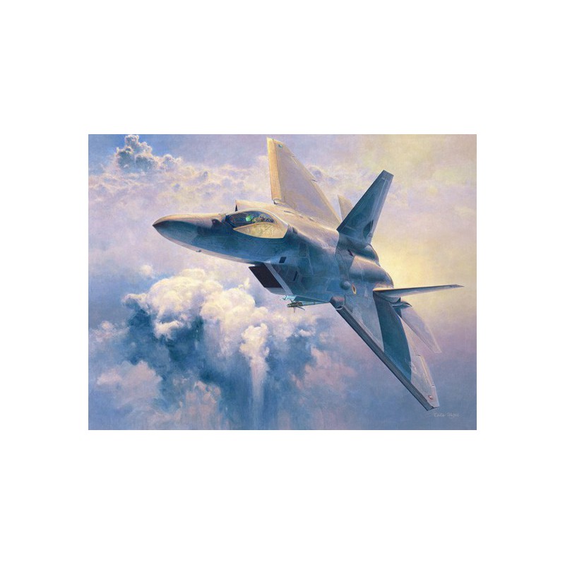 Kunststoffebene Modell F-22 Raptor 1/48 (PT45) | Scientific-MHD