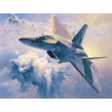Kunststoffebene Modell F-22 Raptor 1/48 (PT45) | Scientific-MHD Kunststoffebene Modell F-22 Raptor 1/48 (PT45) | Scientific-MHD