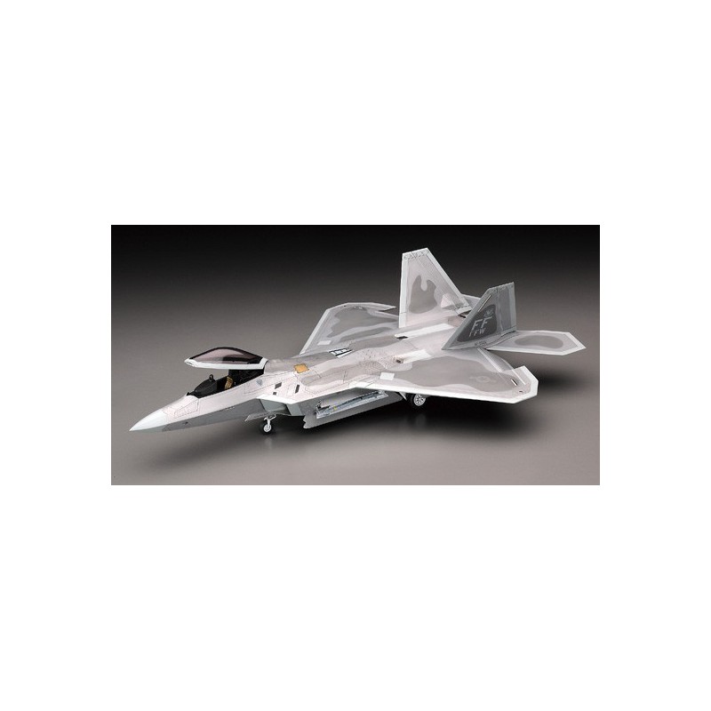 Kunststoffebene Modell F-22 Raptor 1/48 (PT45) | Scientific-MHD