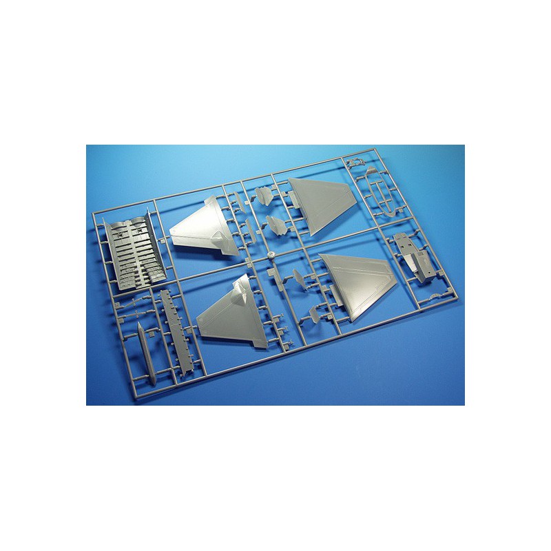 Kunststoffebene Modell F-22 Raptor 1/48 (PT45) | Scientific-MHD