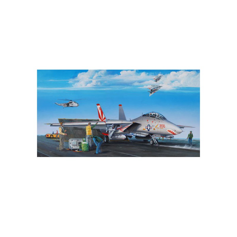 F-14A Plastikflugzeugmodell Tomcat | Scientific-MHD