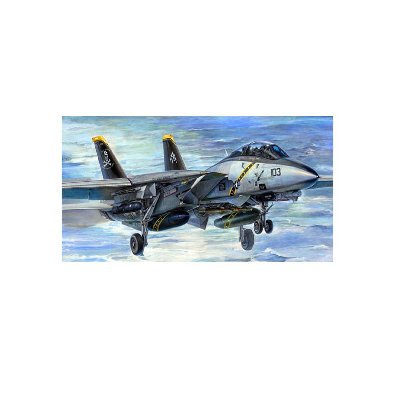 F-13b Plastikflugzeugmodell Tomcat | Scientific-MHD