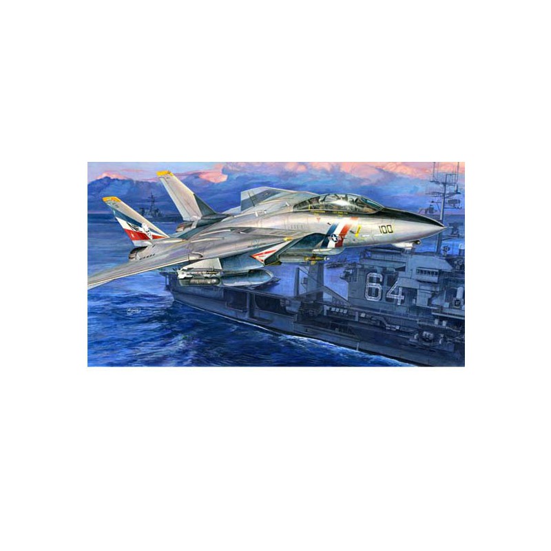 F-14d Super Tomcat Plastikflugzeugmodell | Scientific-MHD