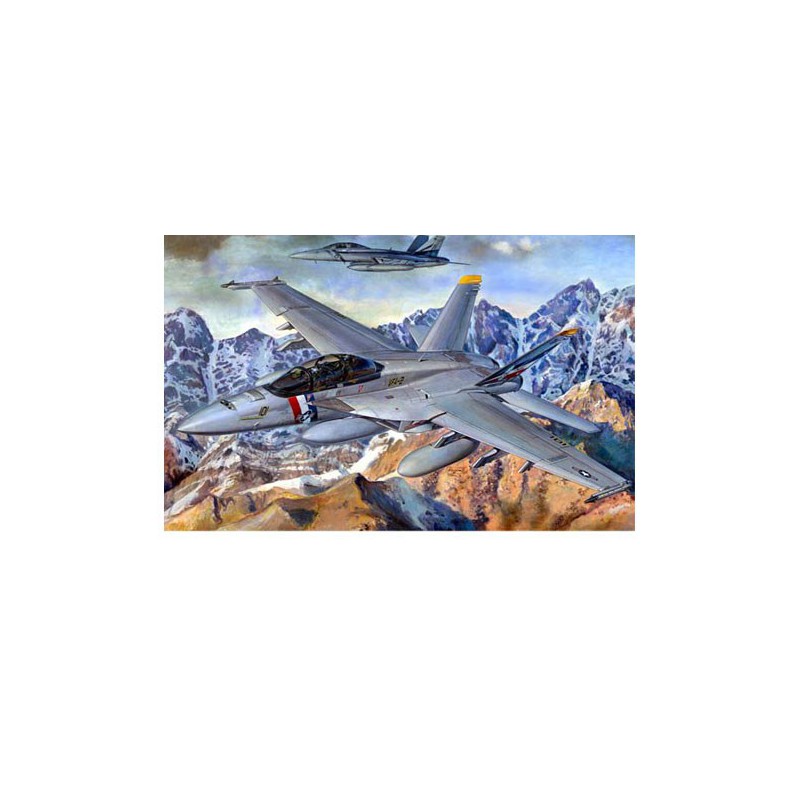 F/a-18f Kunststoffflugzeugmodell Super Hornet | Scientific-MHD