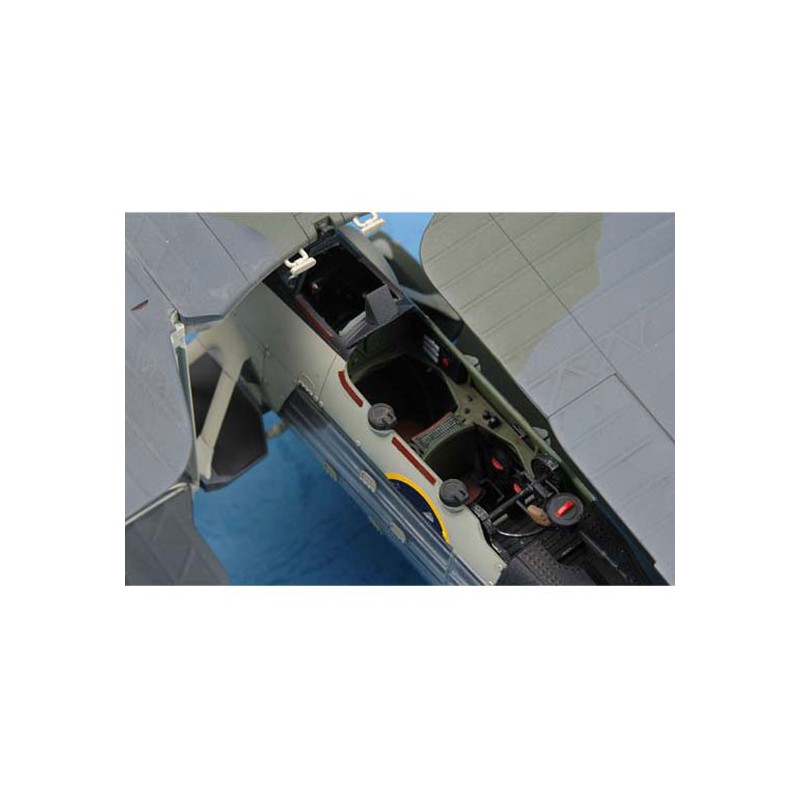 Kunststoffflugzeugmodell Fairey Schwertfisch Mark II II | Scientific-MHD