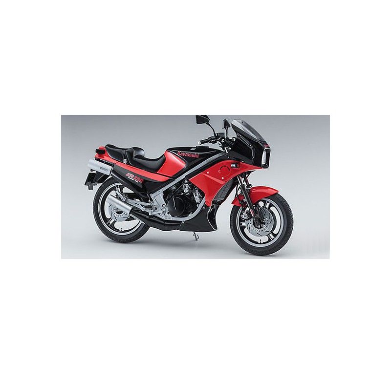 Kawasaki KR250 Kunststoffmotorradmodell (KR250A) 1/12 | Scientific-MHD