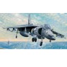 Kunststoffebene Modell AV-8B Harrier II | Scientific-MHD Kunststoffebene Modell AV-8B Harrier II | Scientific-MHD