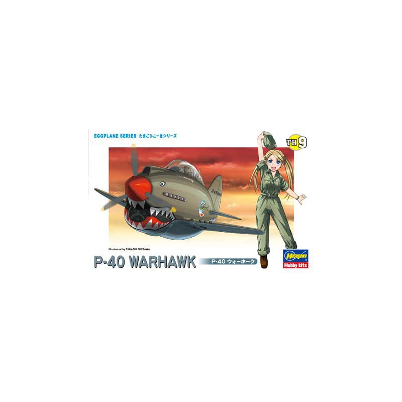 Eierebene P-40 Warhawk Plastikflugzeugmodell | Scientific-MHD