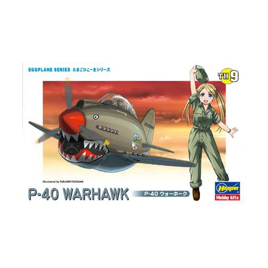 Eierebene P-40 Warhawk Plastikflugzeugmodell | Scientific-MHD