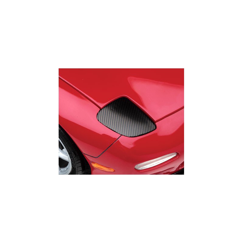 Materialien für Modellkohlenstoff -Finish -Plaque groß | Scientific-MHD