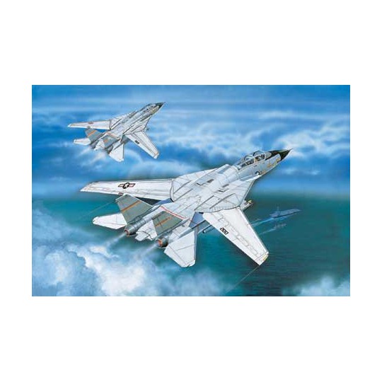 F-14A Kunststoffebene Modell Tomcat 1/100 | Scientific-MHD