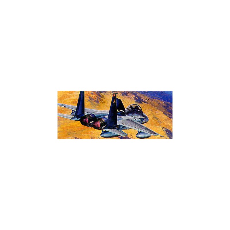 F-15d Kunststoffmodell Eagle1/72 | Scientific-MHD