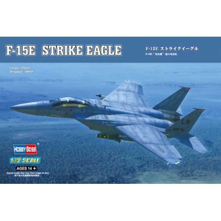 F-15E Kunststoffebene Modell Eagle Fighter 1/72 | Scientific-MHD