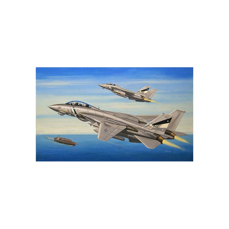 F-14d Tomcat 1/72 Kunststoffebene Modell | Scientific-MHD
