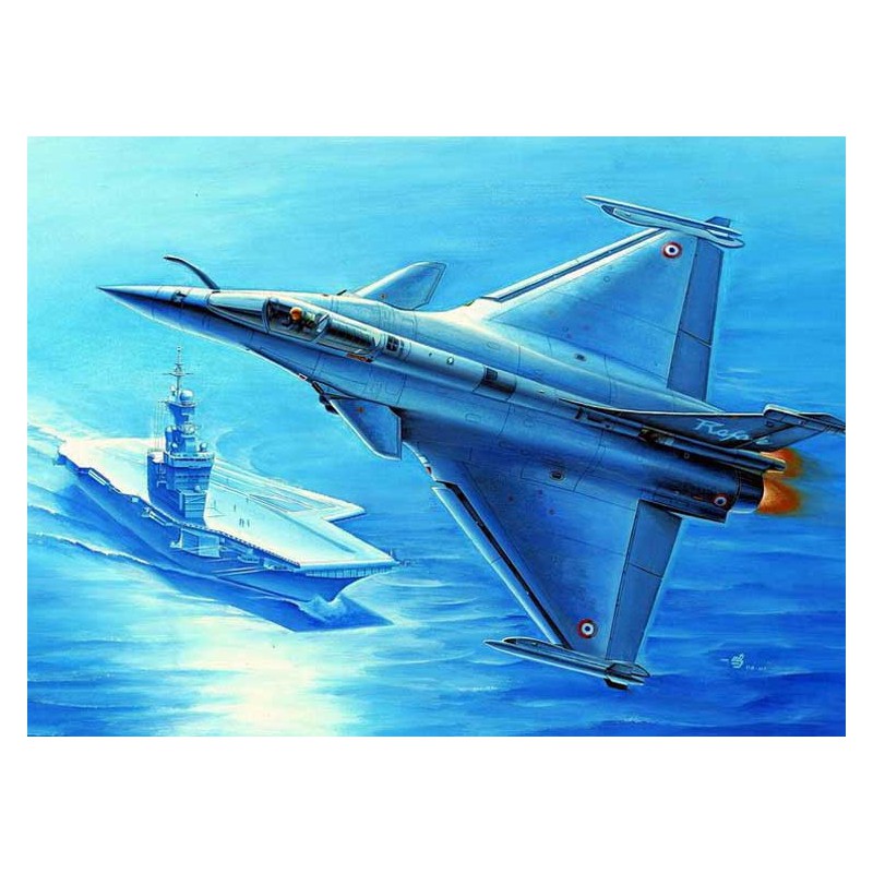 Rafale Plastikflugzeug Modell M French Fighter 1/48 | Scientific-MHD
