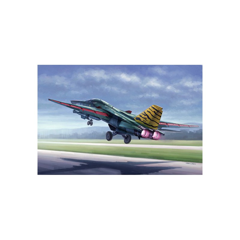 FB-111 Plastikflugzeugmodell Aardvark 1/48 | Scientific-MHD