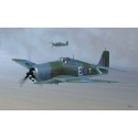 Kunststoffflugzeug Modell Hellcat Flotte Airarm Mk.ii1/48 | Scientific-MHD Kunststoffflugzeug Modell Hellcat Flotte Airarm Mk.ii1/48 | Scientific-MHD