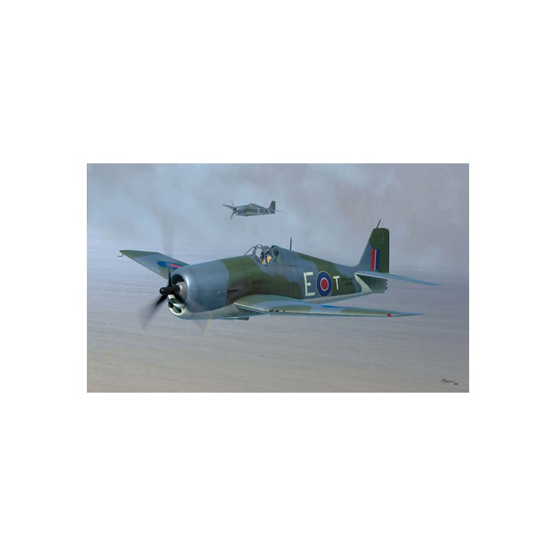 Kunststoffflugzeug Modell Hellcat Flotte Airarm Mk.ii1/48 | Scientific-MHD