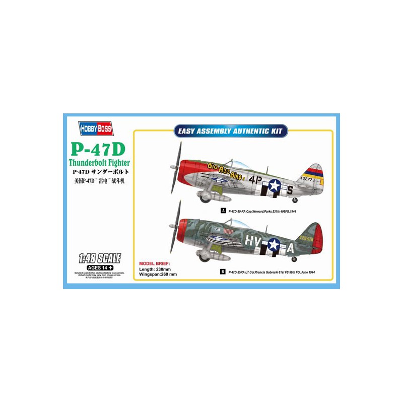 P-47d Thunderbolt 1/48 Kunststoffebene Modell | Scientific-MHD