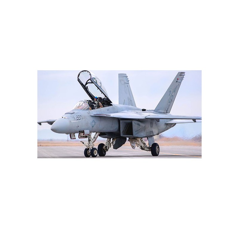 F/a-18f Kunststoffflugzeugmodell Super Hornet 1/48 | Scientific-MHD