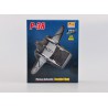 Miniatur des Flugzeugs sterben bei 1/72 USAF P38- 1/72 | Scientific-MHD