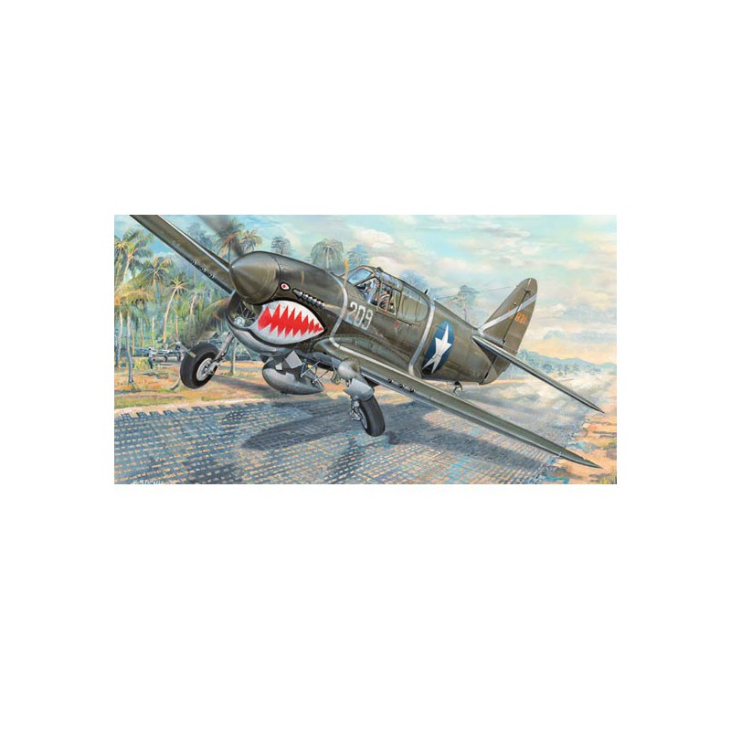 P-40F War Hawk 1/32 Plastikflugzeugmodell | Scientific-MHD