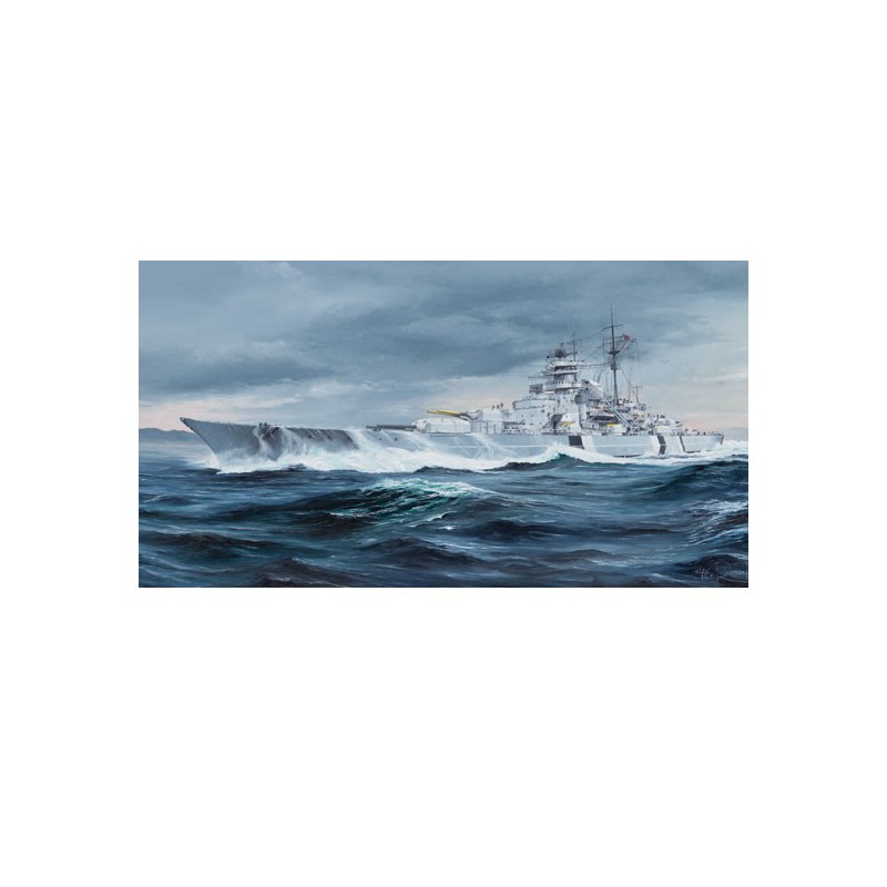 Bismarck 1/350 Deutsches Plastikbootmodell | Scientific-MHD