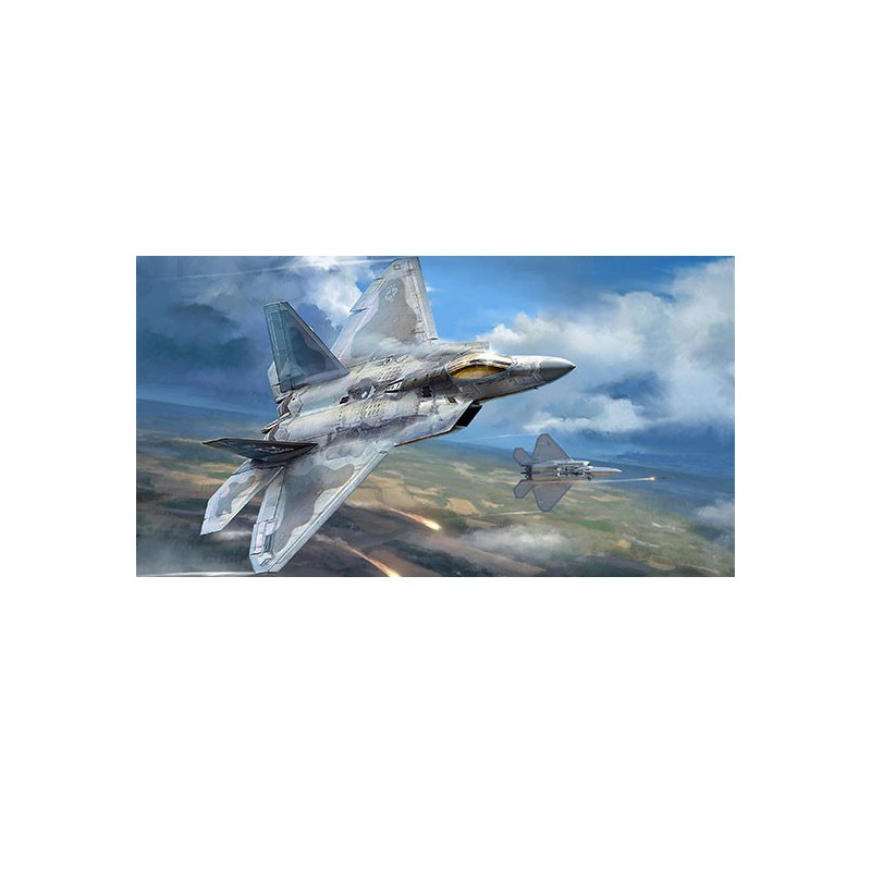 Kunststoffebene Modell F-22A Raptor1/48 | Scientific-MHD