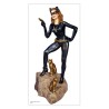 Catwoman Figur 19661/8 | Scientific-MHD