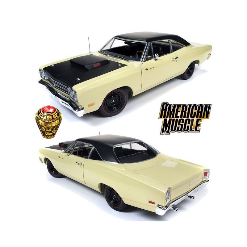 Miniaturauto -Würfel AT1/18 Plymouth Roadrunner 1969 1/18 | Scientific-MHD