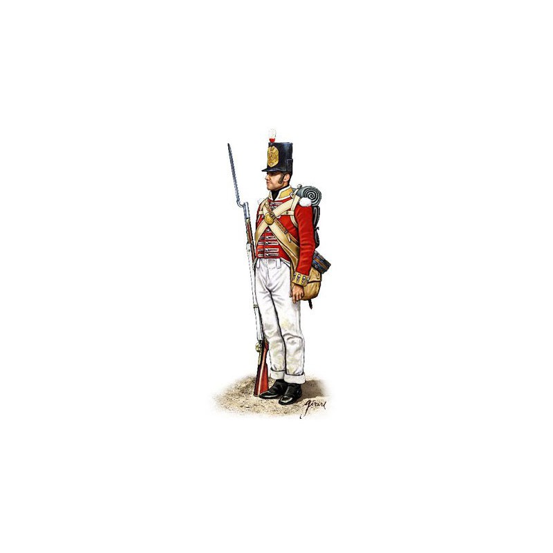 Halbinsel Britische Infanterie -Figur | Scientific-MHD